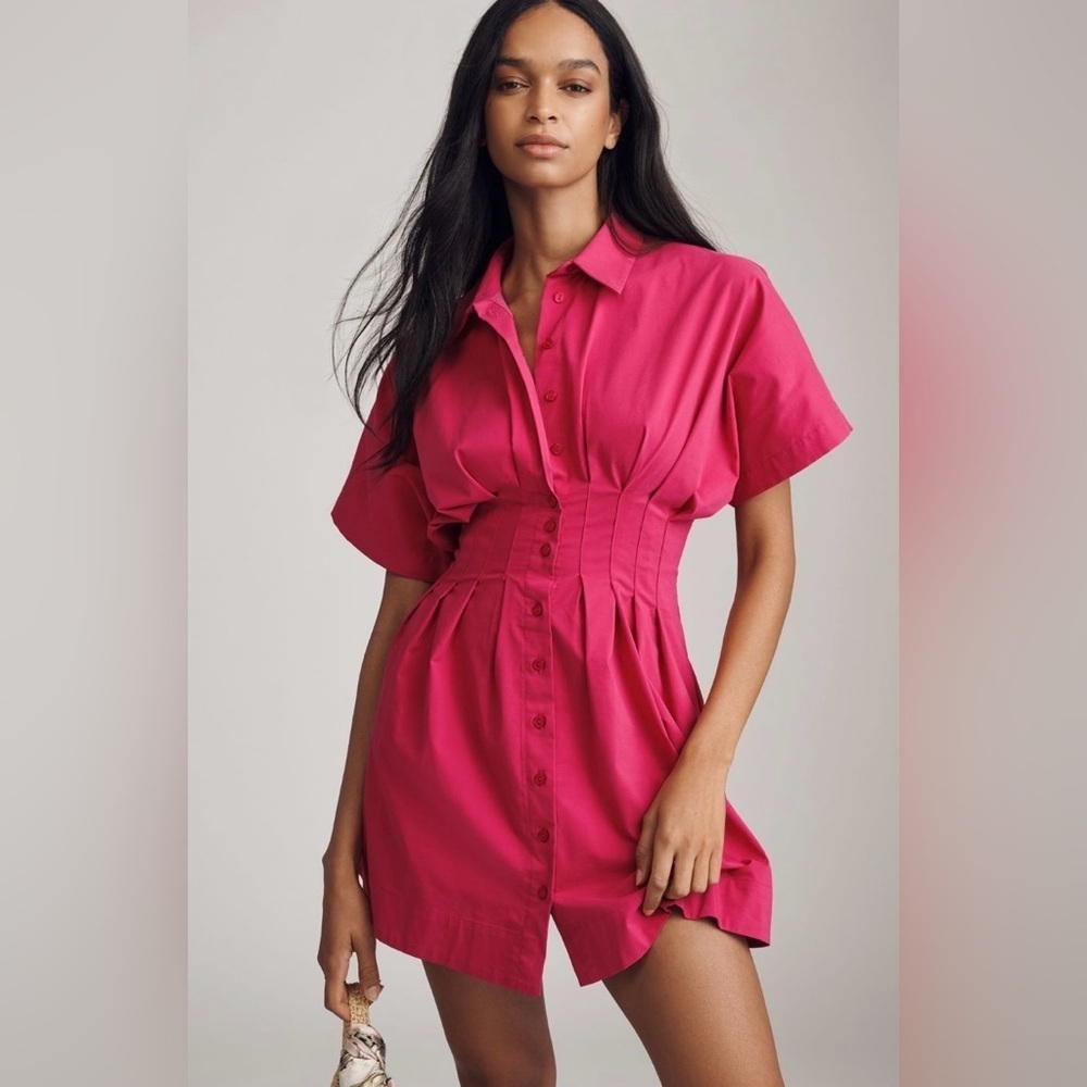 Anthropologie x Exquise The Tobie Button-Front Pleated Shirt Dress Mini Sz L NWT